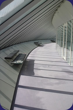 University of East Anglia